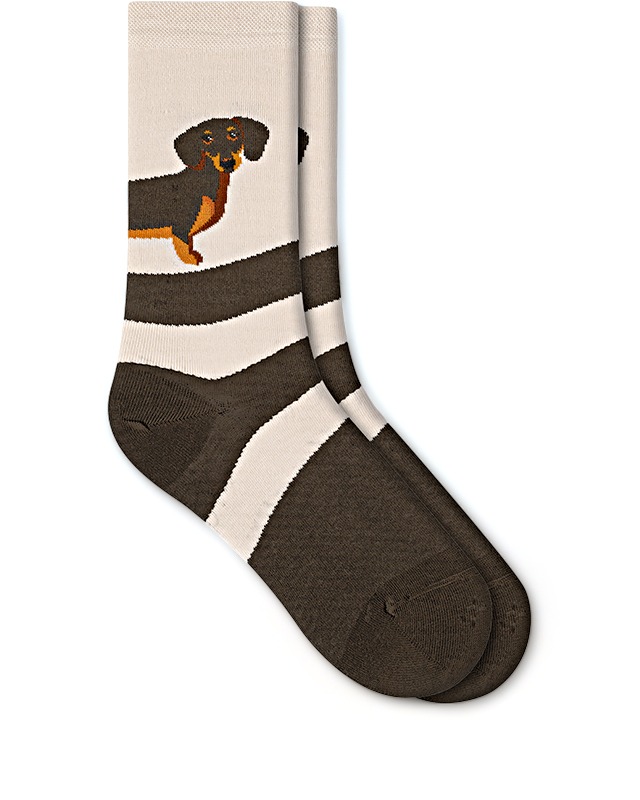 CHAUSSETTES TECKEL