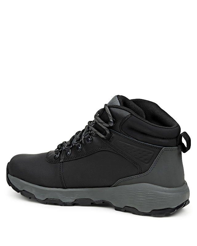 NEWTON WANDER LTR