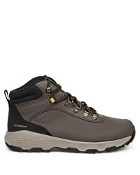 NEWTON WANDER LTR