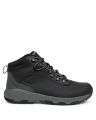 NEWTON WANDER LTR
