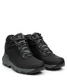 NEWTON WANDER LTR