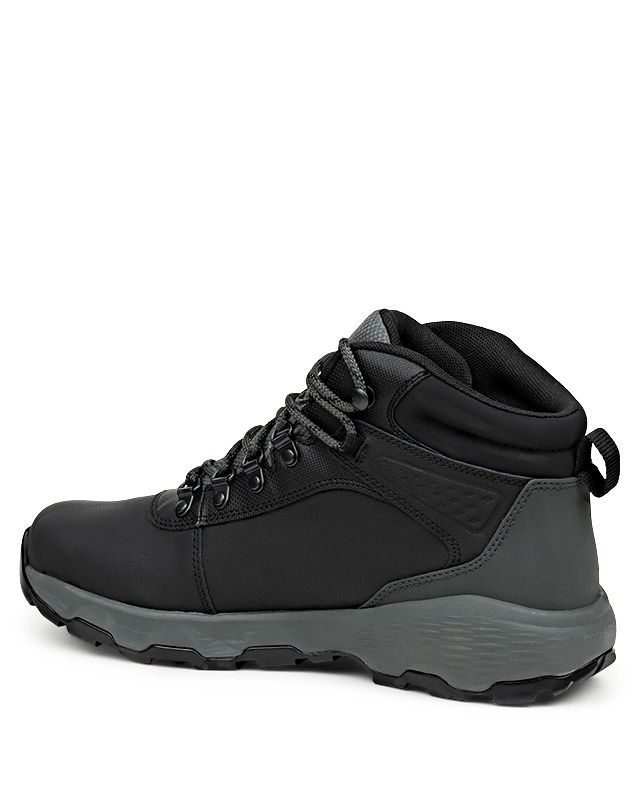 NEWTON WANDER LTR
