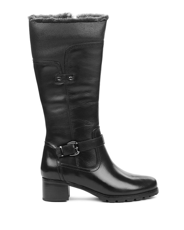 FLAVIA | Jean-Paul Fortin